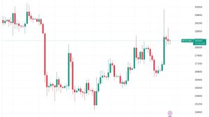 Hodling hard: Bitcoin’s long-term investors own over 76% of all BTC for the first time