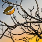 iFinex proposes $150M share buyback from Bitfinex hack victims: Report