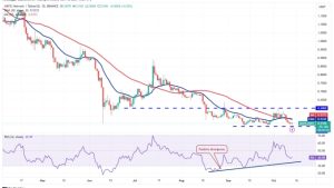 Price analysis 10/13: BTC, ETH, BNB, XRP, SOL, ADA, DOGE, TON, DOT, MATIC