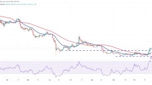 Price analysis 10/25: BTC, ETH, BNB, XRP, SOL, ADA, DOGE, TON, LINK, MATIC