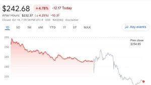 Tesla earnings: Bitcoin bags untouched as firm splashes out on AI