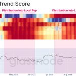 Bitcoin supply held by long-term holders hits all-time high — Research