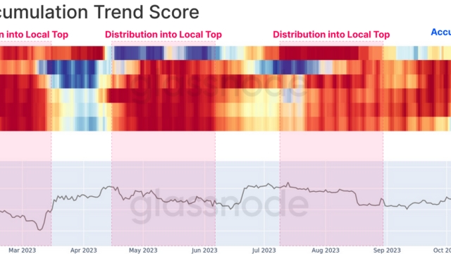 Bitcoin supply held by long-term holders hits all-time high — Research