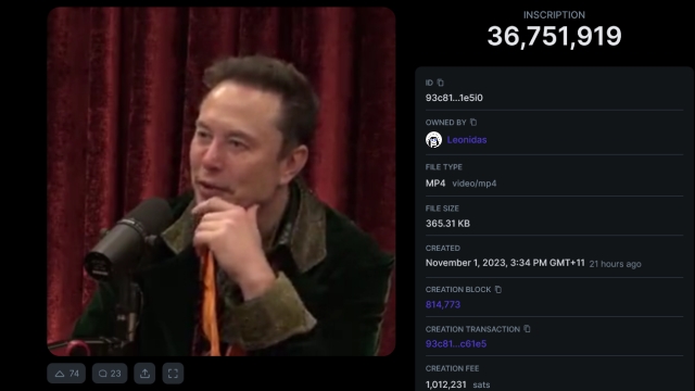 Elon Musk slams NFTs but ends up arguing the case for Bitcoin Ordinals
