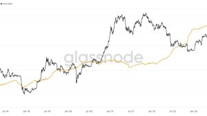 Number of Bitcoin millionaire wallets triples in 2023