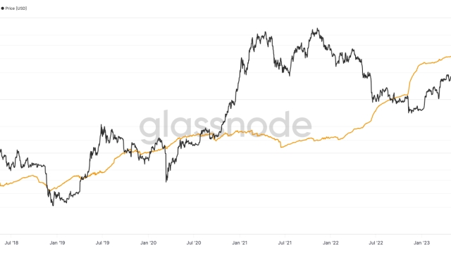 Number of Bitcoin millionaire wallets triples in 2023