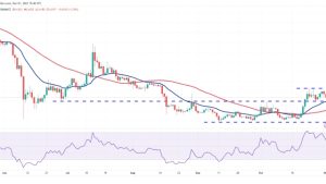 Price analysis 11/1: BTC, ETH, BNB, XRP, SOL, ADA, DOGE, TON, LINK, MATIC