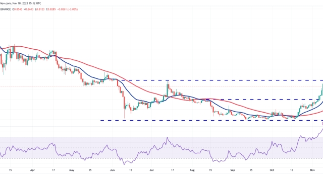 Price analysis 11/10: BTC, ETH, BNB, XRP, SOL, ADA, DOGE, TON, LINK, MATIC