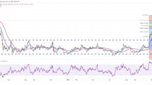 Price analysis 11/13: SPX, DXY, BTC, ETH, BNB, XRP, SOL, ADA, DOGE, LINK