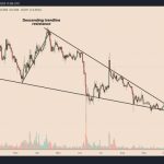 Why is Cardano price up today?