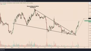 Why is Cardano price up today?
