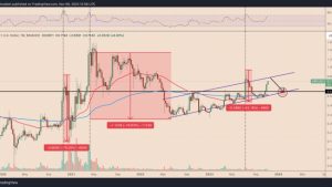 Why is XRP price up today?