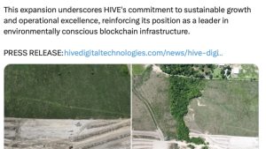 Hive Digital buys 6,500 ASICs, starts Paraguay construction